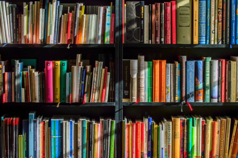 The Importance of Business Education in the Digital Era